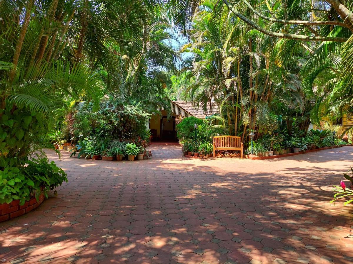 Palm Grove Cottages - Leisure Resort Benaulim Buitenkant foto