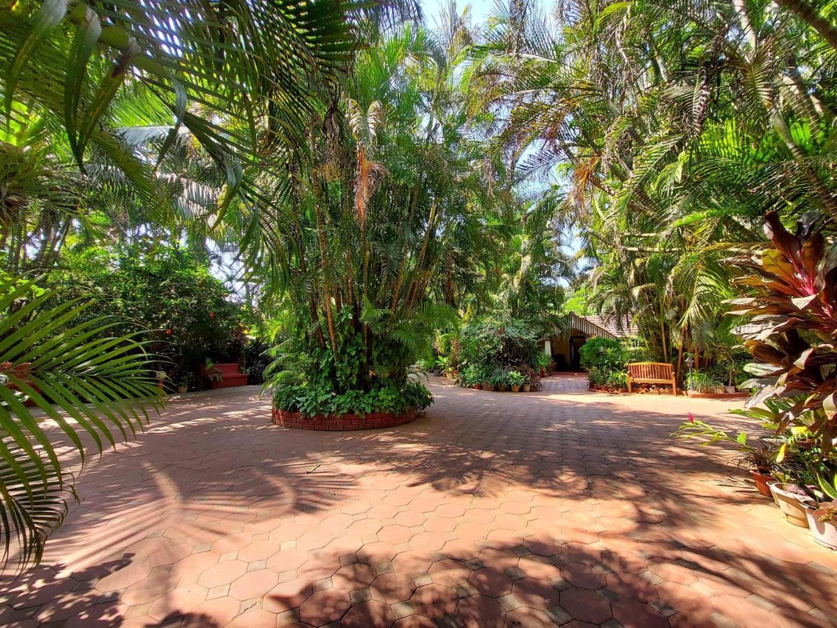 Palm Grove Cottages - Leisure Resort Benaulim Buitenkant foto