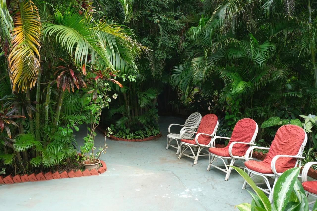Palm Grove Cottages - Leisure Resort Benaulim Buitenkant foto
