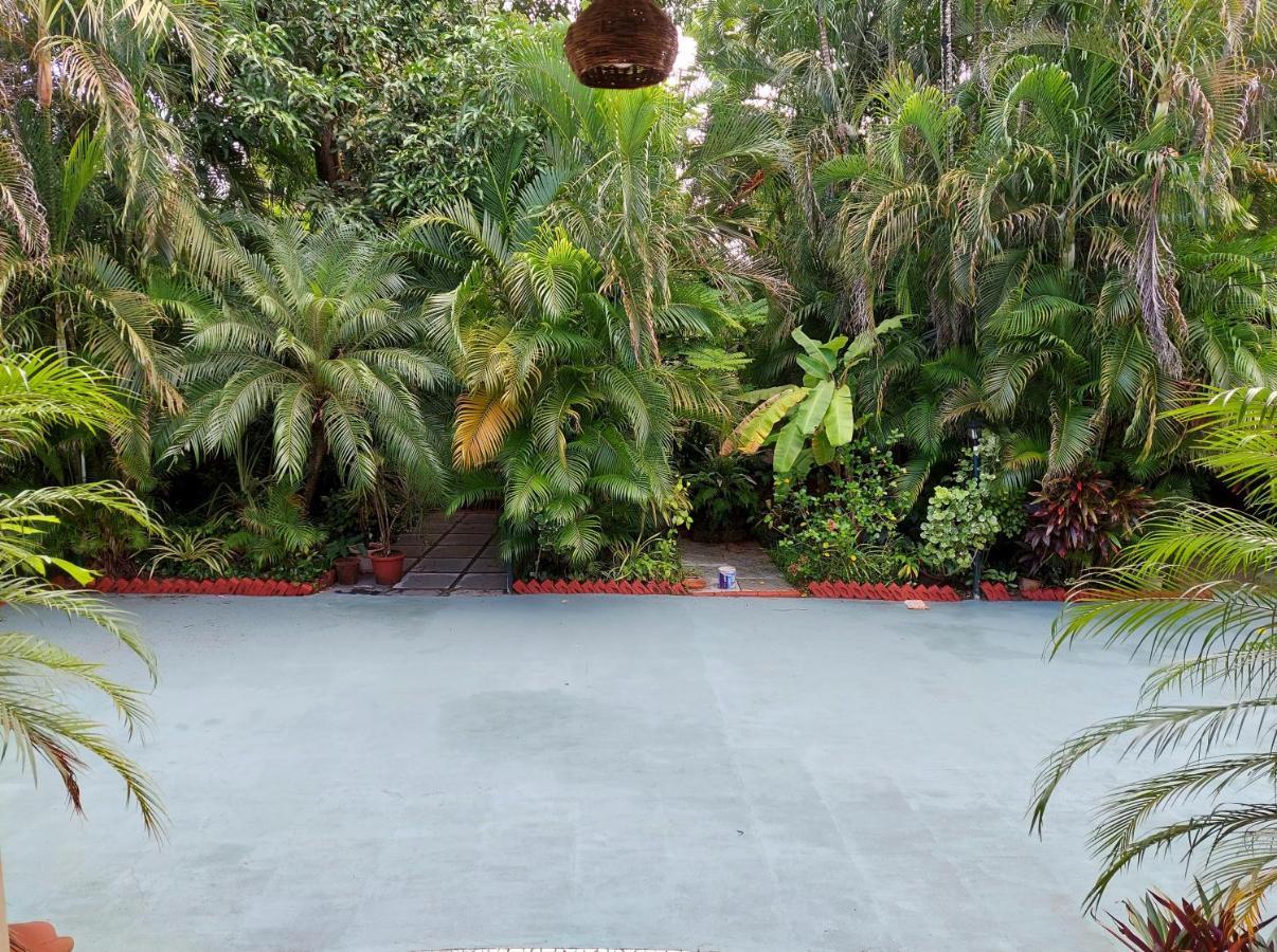 Palm Grove Cottages - Leisure Resort Benaulim Buitenkant foto