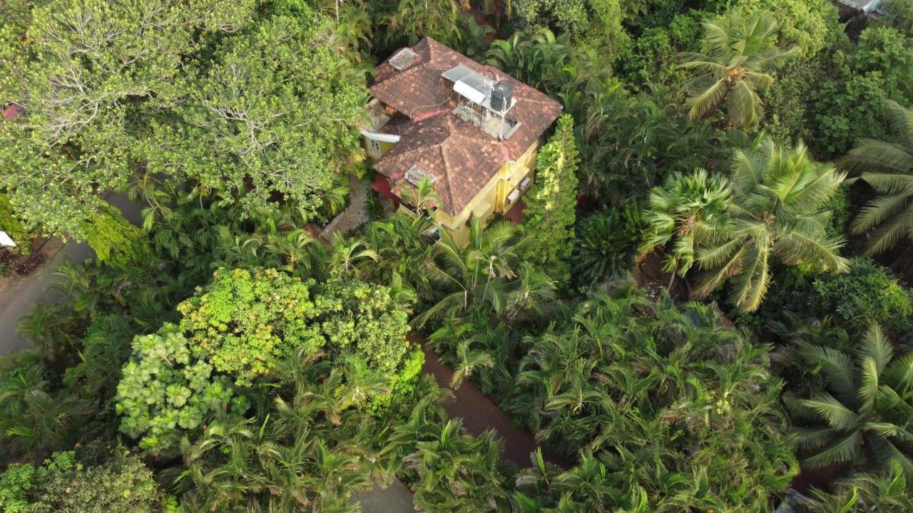 Palm Grove Cottages - Leisure Resort Benaulim Buitenkant foto