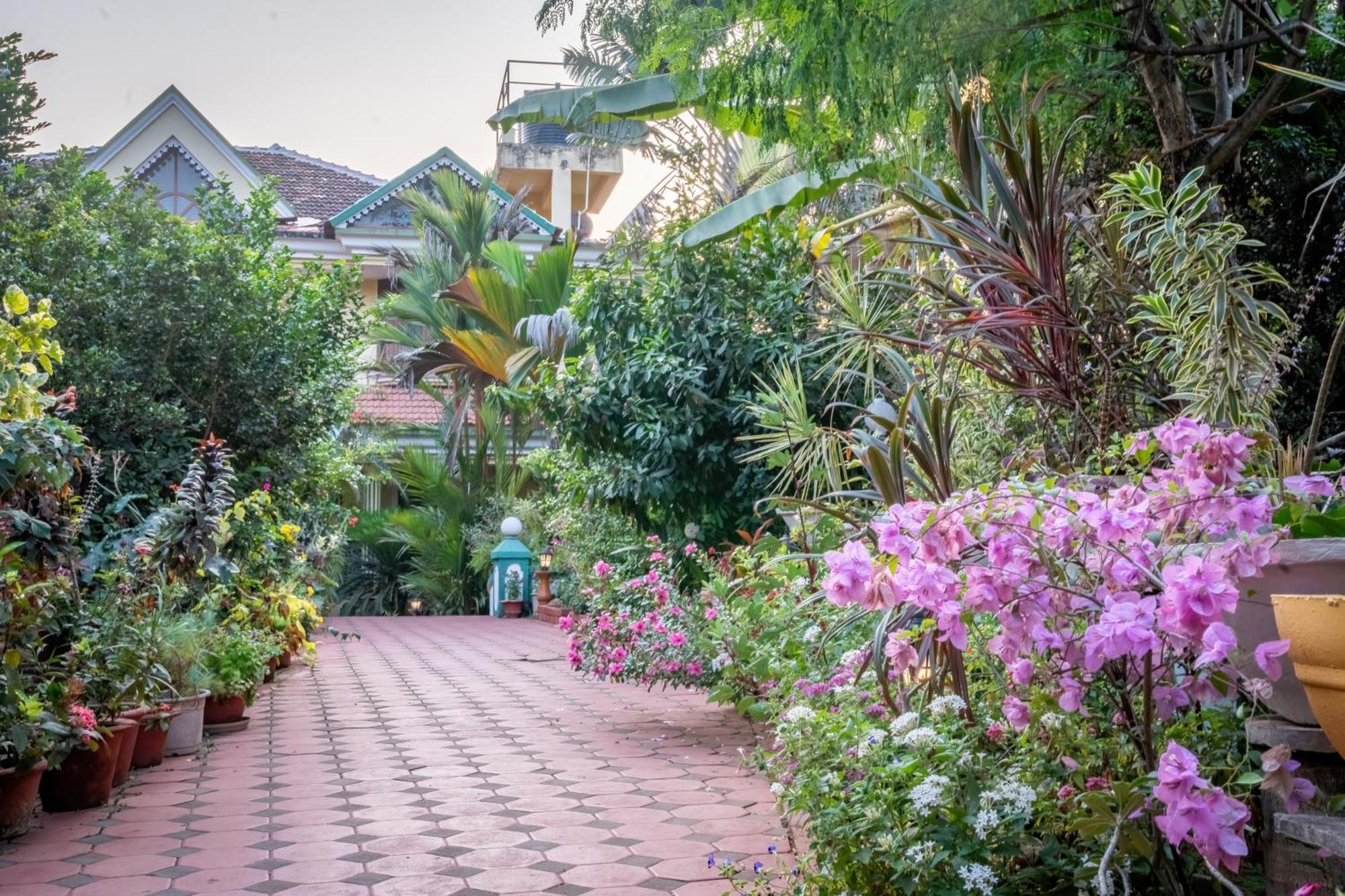 Palm Grove Cottages - Leisure Resort Benaulim Buitenkant foto