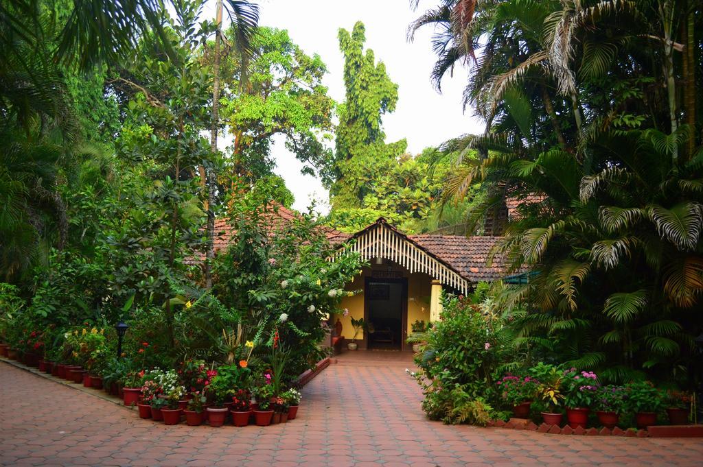 Palm Grove Cottages - Leisure Resort Benaulim Buitenkant foto
