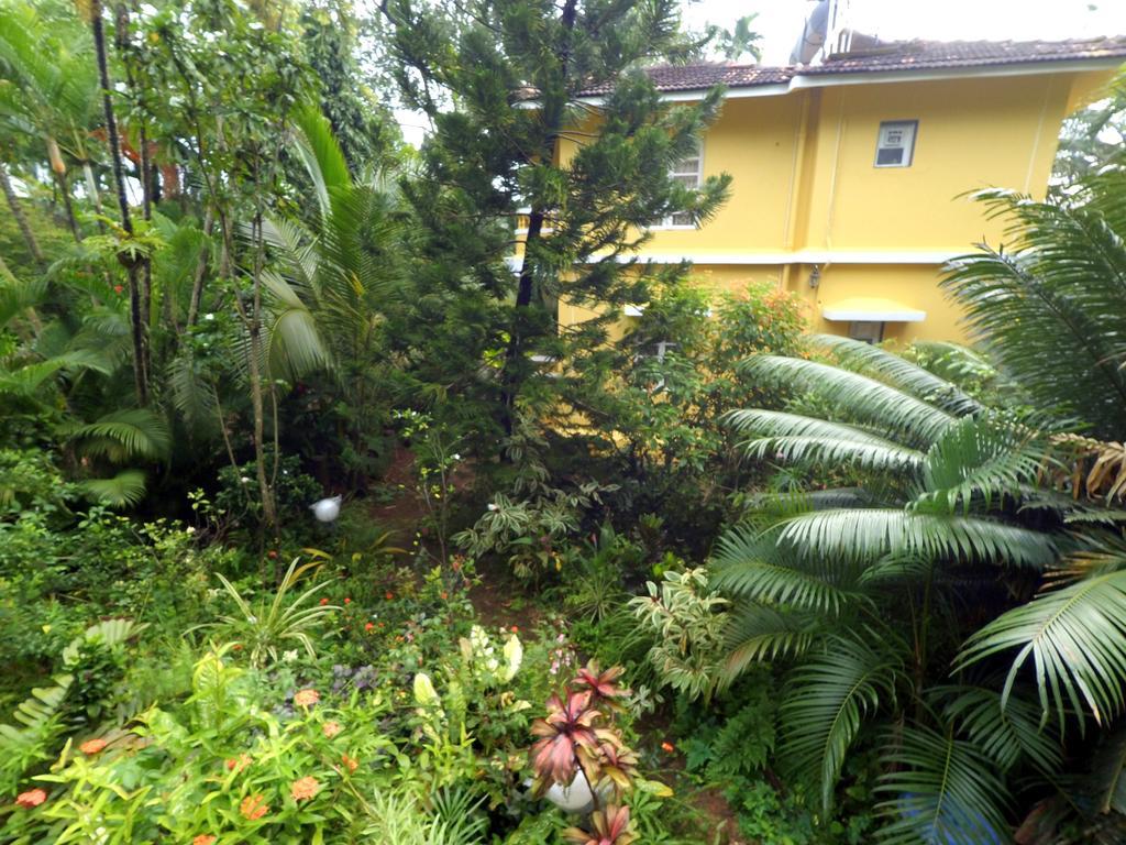 Palm Grove Cottages - Leisure Resort Benaulim Buitenkant foto