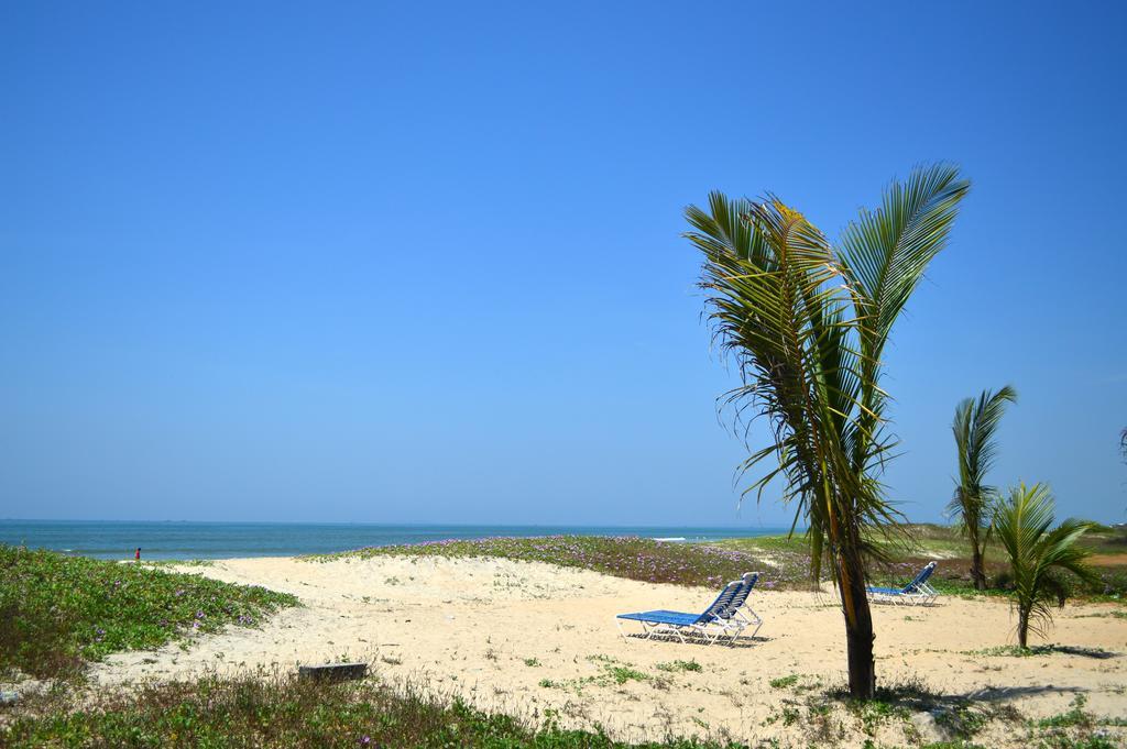 Palm Grove Cottages - Leisure Resort Benaulim Buitenkant foto