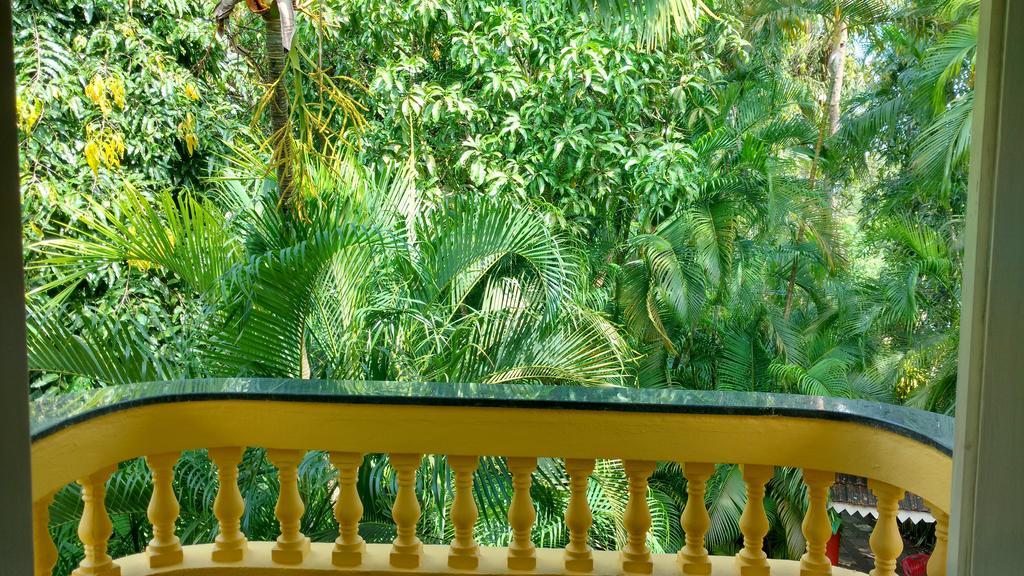Palm Grove Cottages - Leisure Resort Benaulim Buitenkant foto