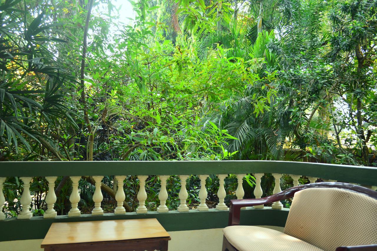 Palm Grove Cottages - Leisure Resort Benaulim Buitenkant foto