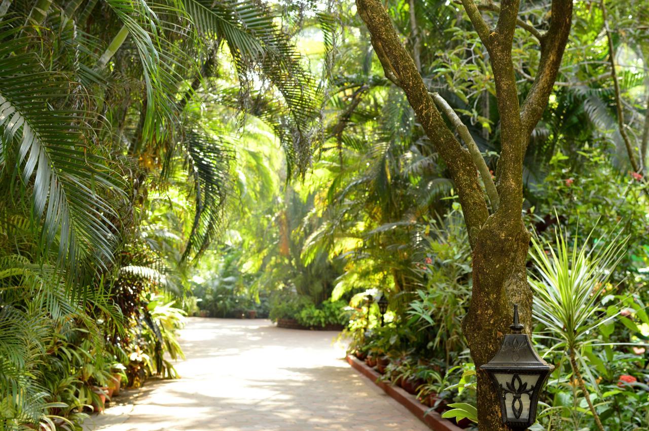 Palm Grove Cottages - Leisure Resort Benaulim Buitenkant foto