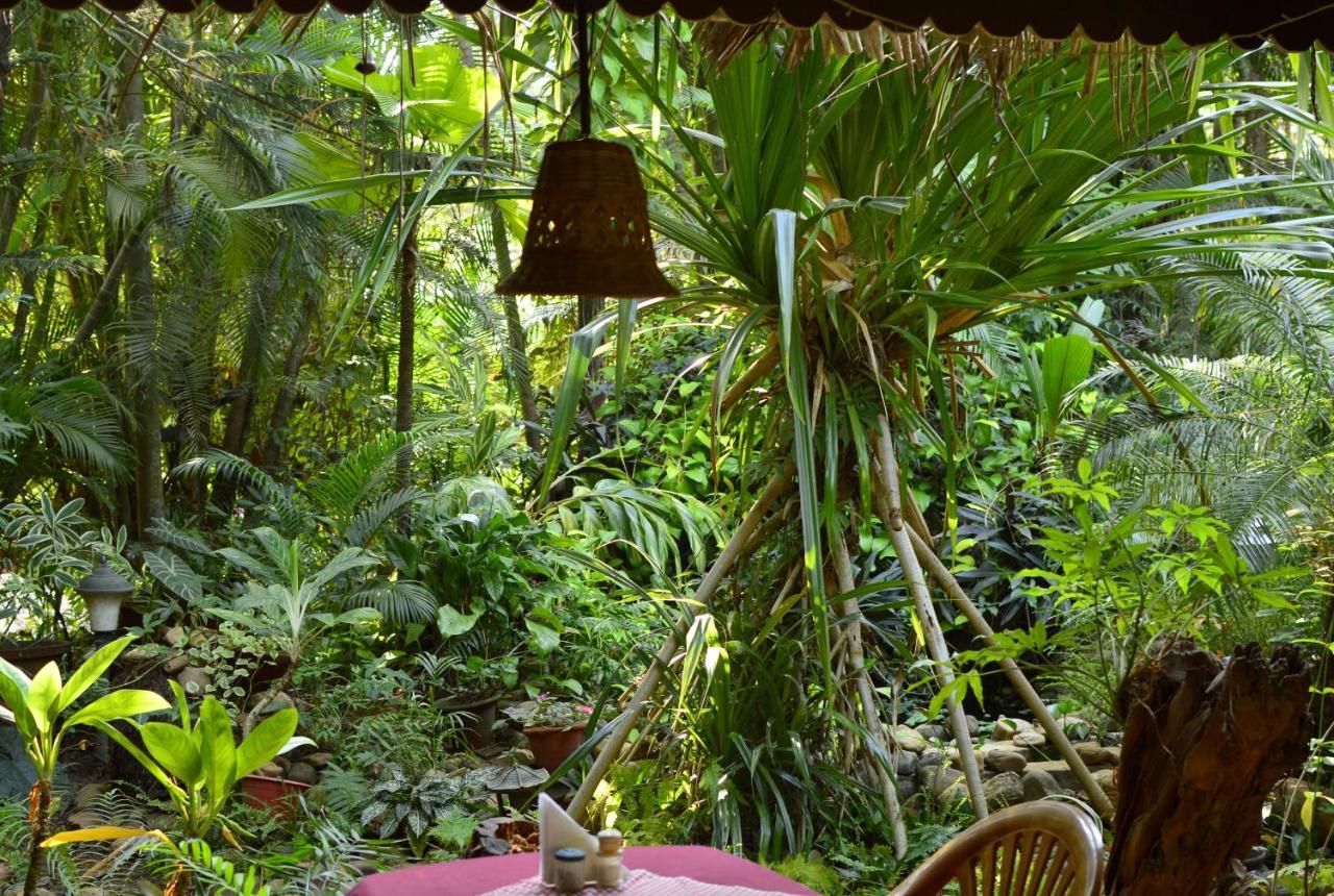Palm Grove Cottages - Leisure Resort Benaulim Buitenkant foto
